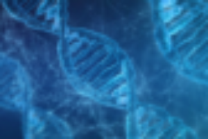 Yes! Creationists Do accept “microevolution”