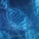 Yes! Creationists Do accept “microevolution”