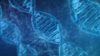 Yes! Creationists Do accept “microevolution”