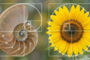 How Does Mathematics Provide Evidence for God?