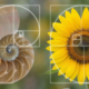 How Does Mathematics Provide Evidence for God?