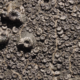 3 Fatal Flaws That Completely Destroy Evolution